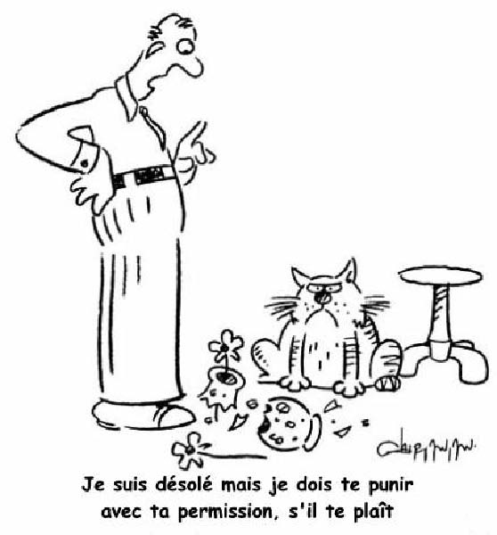 Avec ta permission-humourenvrac